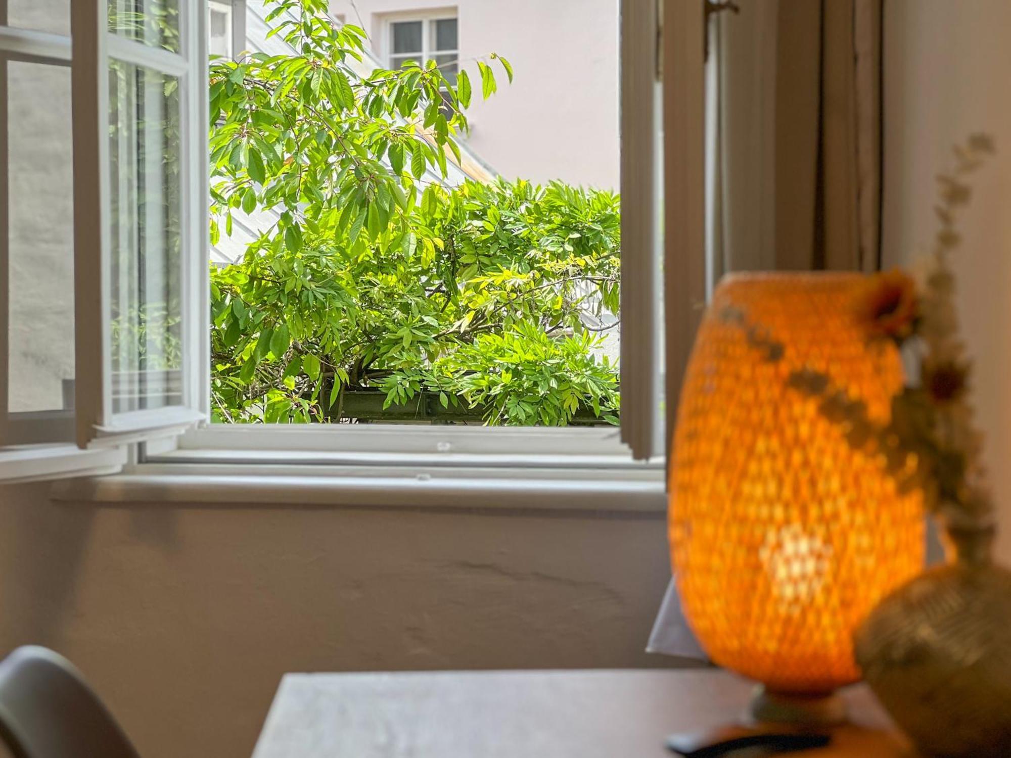 Apartments Salzburg - Bergstrasse Εξωτερικό φωτογραφία